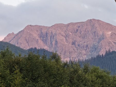 IMG_20230722_205524.jpg
