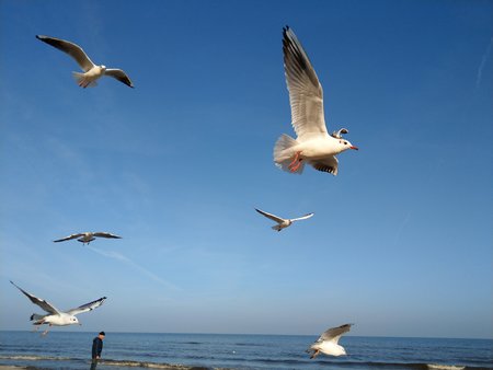 IMAG7329.jpg