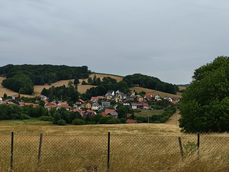 NP206.jpg