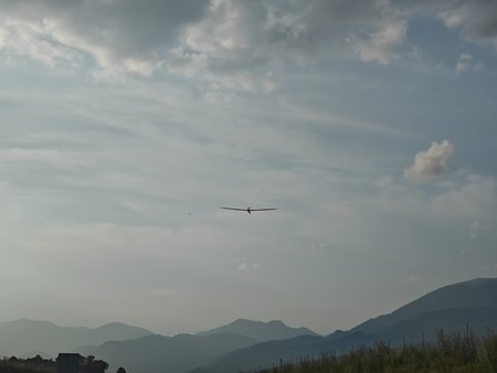 IMG_20230723_191112.jpg