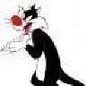 Sylvester66