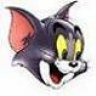 TomCat966