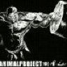 mullahbeatz