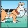 tommydog