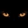 DarkGuru