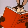 AcmE85
