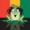 Chillkroete