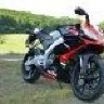 Alftaler99