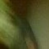 Gaspar