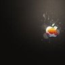 thediesel17