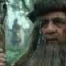 Radagast