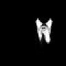 Black_world