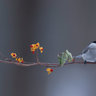 horst_999