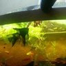 Aquaklassik