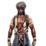 dwaiser