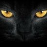 BlackTiger76