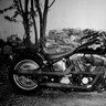 Tom81