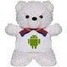 teddy3