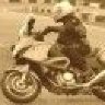 Urs_1956