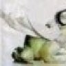 Knallfrosch