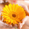 Blume