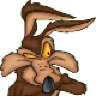 coyote_f