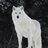 The White Wolf