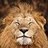LionSnake