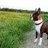 balu222