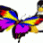 webbutterfly