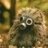igel85