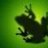 froggar