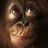 patrick_77