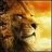 Aslan1