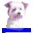 rolf48