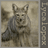 Lycalopex