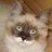 Liliane