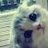 Meoow
