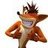 Crash81