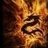 FireDragon