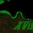 XVirus