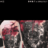 xX_painless_Xx