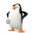 skipper664