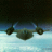 blackbird2612