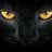 BlackTiger76