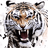 Tigerr74