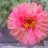 seeware