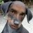 Don_Ron