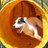 Tunnelflitzer