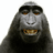 Lebi